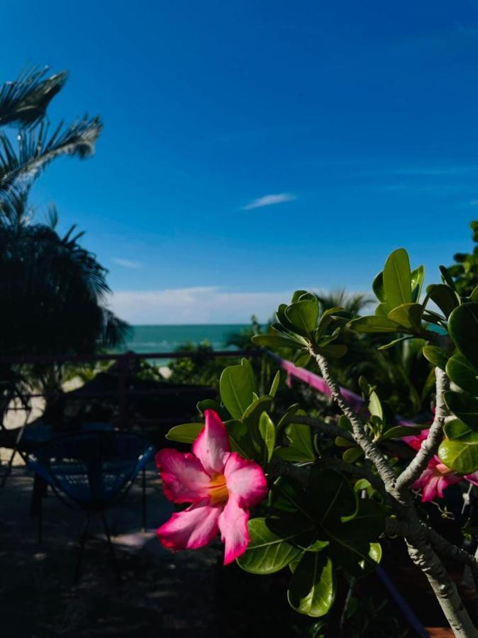 Hotel Gutierrez Celestun Bagian luar foto